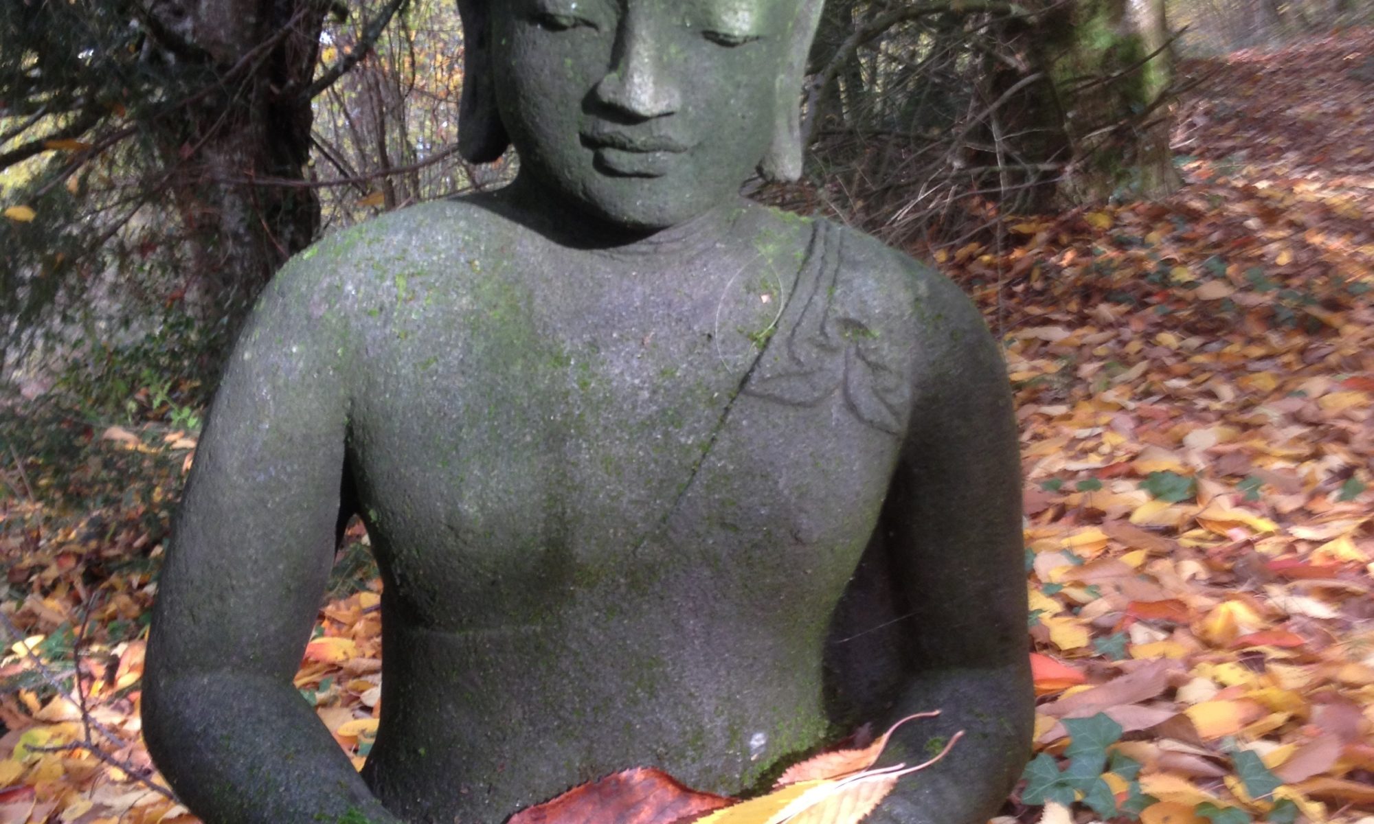 vous êtes Brahman, nirupana nisargadatta