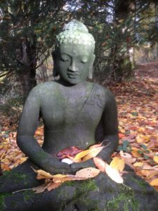vous êtes Brahman, nirupana nisargadatta
