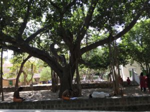 vérité Nisargadatta Maharaj