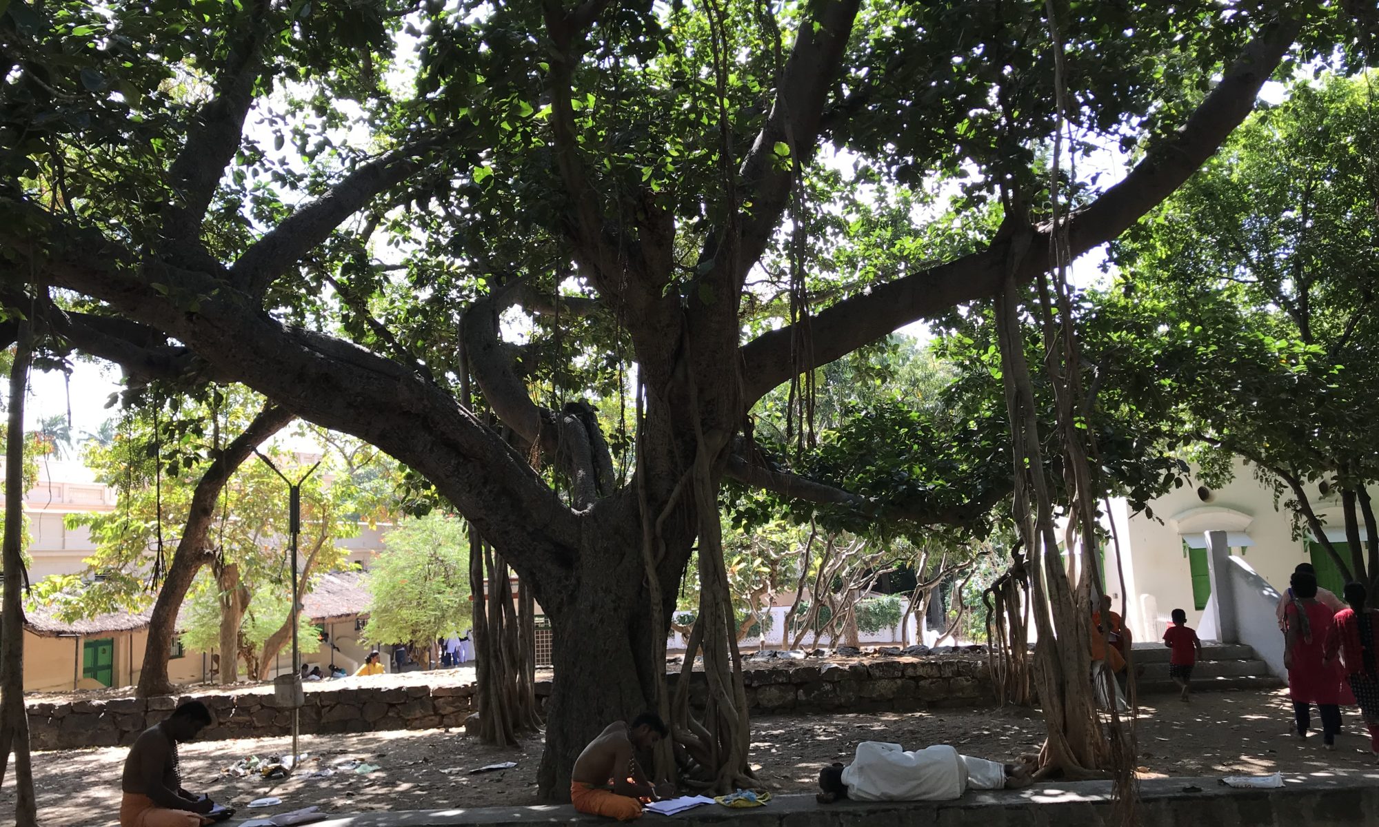 Nisargadatta maharaj sans effort